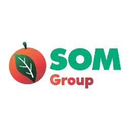 Gruppo SOM logo